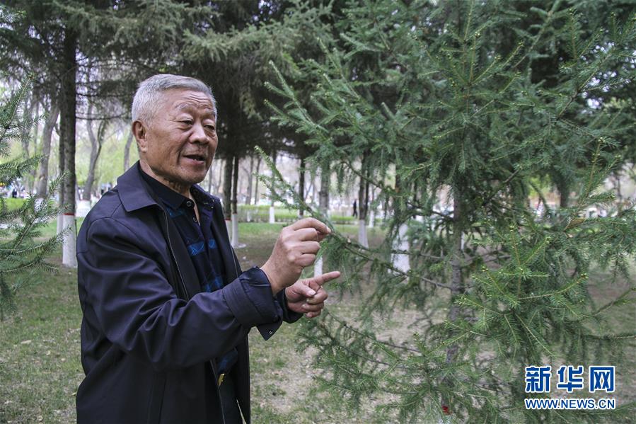 (壯麗70年·奮斗新時(shí)代·圖文互動(dòng))(5)記者蹲點(diǎn)手記:感受“戈壁明珠”嶄新容顏