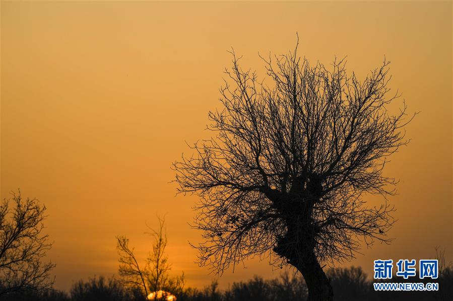 （新華全媒頭條&middot;圖文互動）（2）一步千年，&ldquo;最后的沙漠部落&rdquo;遷入新家園