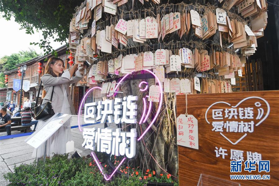 （新華全媒頭條&middot;圖文互動(dòng)）（9）從&ldquo;數(shù)字中國(guó)&rdquo;看中國(guó)發(fā)展新信號(hào)、新亮點(diǎn)、新趨勢(shì)