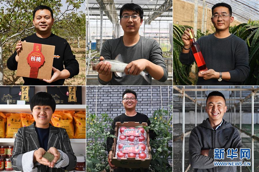 （在習(xí)近平新時(shí)代中國特色社會(huì)主義思想指引下&mdash;&mdash;新時(shí)代新作為新篇章&middot;圖文互動(dòng)）（1）在綠色田野上書寫青春答卷&mdash;&mdash;幾位&ldquo;新農(nóng)民&rdquo;的返鄉(xiāng)創(chuàng)業(yè)故事