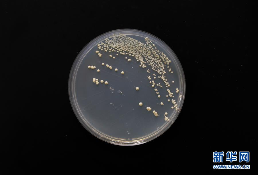 （新華全媒頭條&middot;圖文互動(dòng)）（6）&ldquo;兩個(gè)一公里&rdquo;的創(chuàng)新答案&mdash;&mdash;上海全力建設(shè)全球科創(chuàng)中心紀(jì)實(shí)