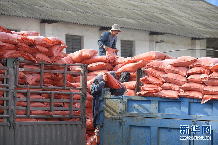 （在習(xí)近平新時(shí)代中國特色社會主義思想指引下&mdash;&mdash;新時(shí)代新作為新篇章&middot;圖文互動）（1）云南省陸良縣：農(nóng)民給供銷社打&ldquo;白條&rdquo; 