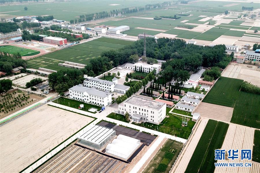 （新華全媒頭條&middot;愛國情 奮斗者&middot;圖文互動）（12）把論文寫在祖國的大地上&mdash;&mdash;中國農(nóng)業(yè)大學46年扎根河北曲周服務鄉(xiāng)村振興紀實