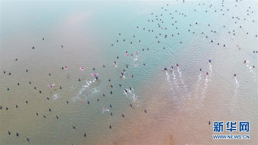 （新華全媒頭條&middot;圖文互動(dòng)）（6）大河歸來(lái)