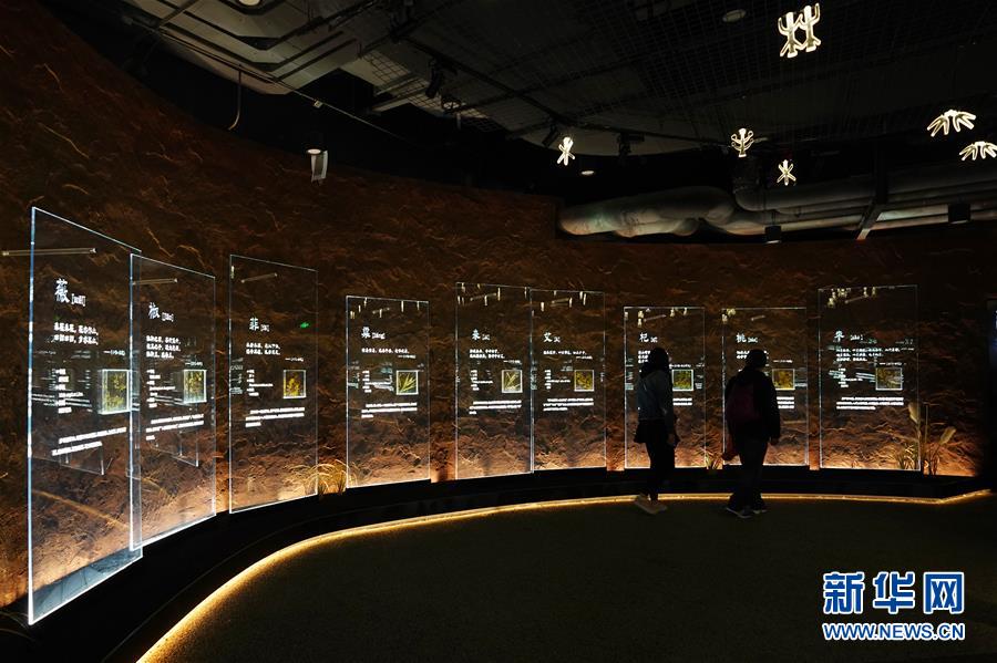 (在習(xí)近平新時(shí)代中國(guó)特色社會(huì)主義思想指引下——新時(shí)代新作為新篇章·圖文互動(dòng))(4)從世園會(huì)“看”中國(guó)綠色發(fā)展之路——寫在北京世園會(huì)“中國(guó)國(guó)家館日”到來之際