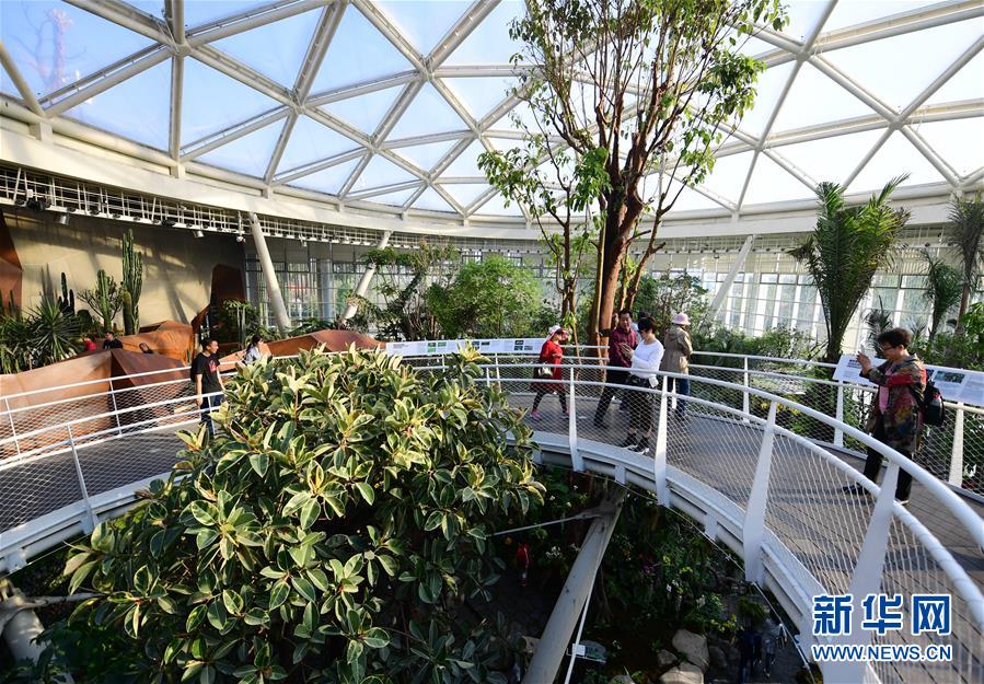 (在習(xí)近平新時(shí)代中國(guó)特色社會(huì)主義思想指引下——新時(shí)代新作為新篇章·圖文互動(dòng))(10)從世園會(huì)“看”中國(guó)綠色發(fā)展之路——寫在北京世園會(huì)“中國(guó)國(guó)家館日”到來之際