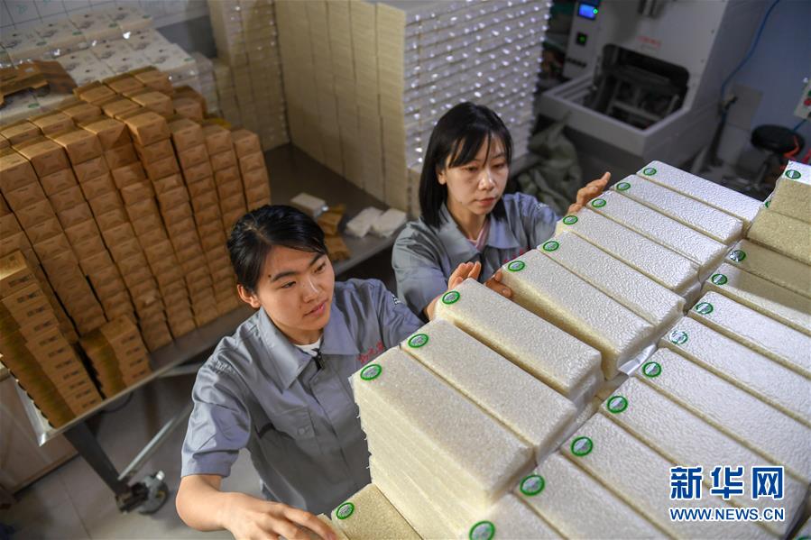 （在習近平新時代中國特色社會主義思想指引下&mdash;&mdash;新時代新作為新篇章&middot;圖文互動）（7）大學生種田讓農(nóng)民&ldquo;老把式&rdquo;開了眼&mdash;&mdash;吉林長白山下的稻田新事