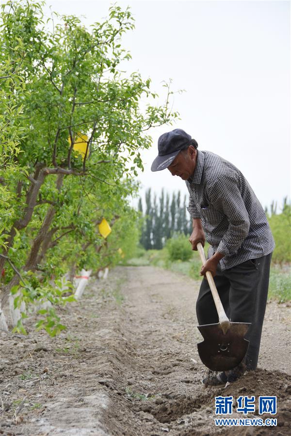 (圖文互動(dòng))(1)吐木爾家最后一個(gè)農(nóng)民