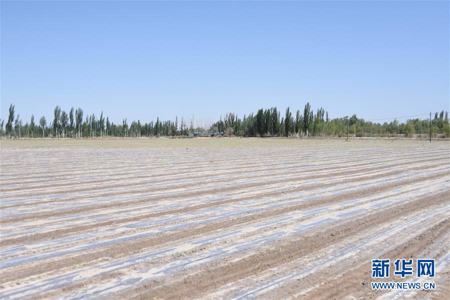 (圖文互動(dòng))(3)吐木爾家最后一個(gè)農(nóng)民