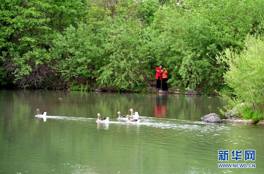 （在習近平新時代中國特色社會主義思想指引下&mdash;&mdash;新時代新作為新篇章&middot;圖文互動）（4）在這里，遇見&ldquo;詩和遠方&rdquo;&mdash;&mdash;長白山下&ldquo;第一鎮(zhèn)&rdquo;的全域旅游實踐