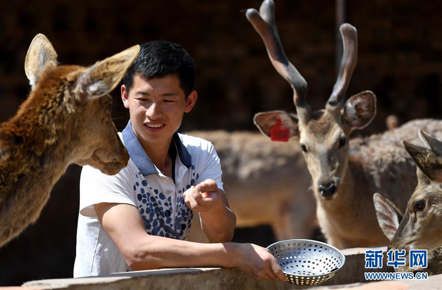 (新華全媒頭條·圖文互動(dòng))(8)紅色土地上的不變初心——革命老區(qū)井岡山和延安脫貧啟示錄