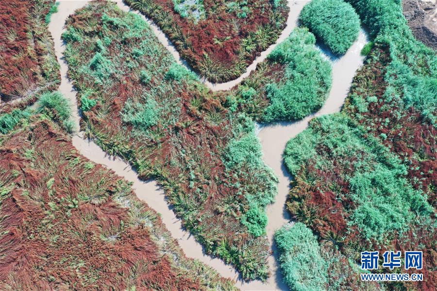 (在習近平新時代中國特色社會主義思想指引下——新時代新作為新篇章·圖文互動)(6)山水之變看交城