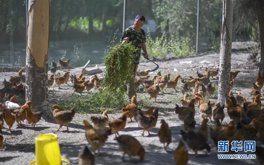（新華全媒頭條&middot;圖文互動）（6）同心援疆，&ldquo;壯闊&rdquo;祖國西北角