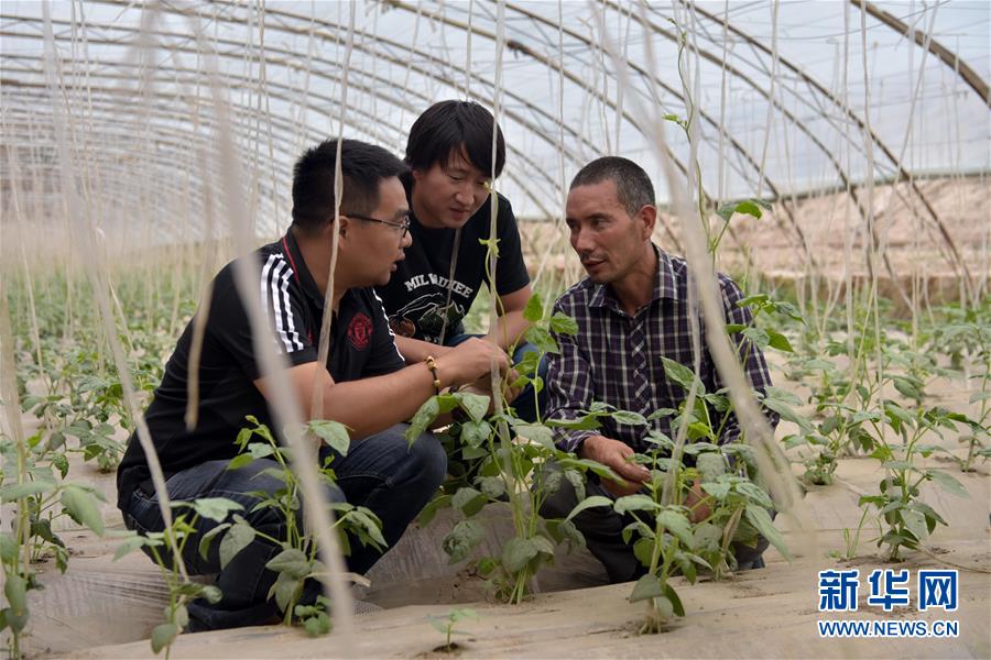 （新華全媒頭條&middot;圖文互動）（10）同心援疆，&ldquo;壯闊&rdquo;祖國西北角