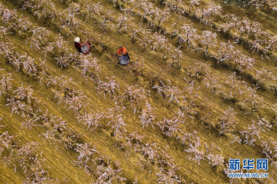 （在習(xí)近平新時代中國特色社會主義思想指引下&mdash;&mdash;新時代新作為新篇章&middot;圖文互動）（3）中條山下綠意濃&mdash;&mdash;一個&ldquo;資源窮縣&rdquo;的生態(tài)發(fā)展之路