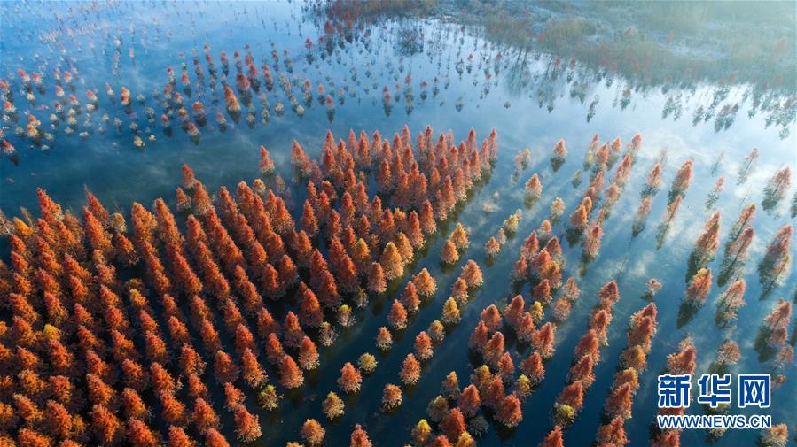 (壯麗70年·奮斗新時(shí)代——共和國發(fā)展成就巡禮)(4)云嶺彩卷繪 高原氣象新——新中國成立70年云南發(fā)展巡禮