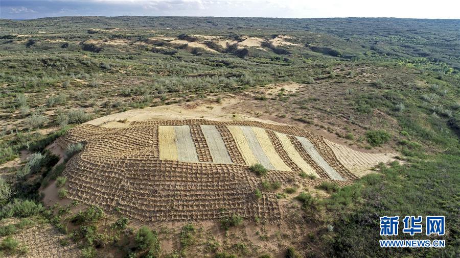 （壯麗70年&middot;奮斗新時(shí)代&mdash;&mdash;共和國(guó)發(fā)展成就巡禮&middot;圖文互動(dòng)）（6）生態(tài)美、百姓富&mdash;&mdash;品讀嶄新&ldquo;寧夏畫卷&rdquo;