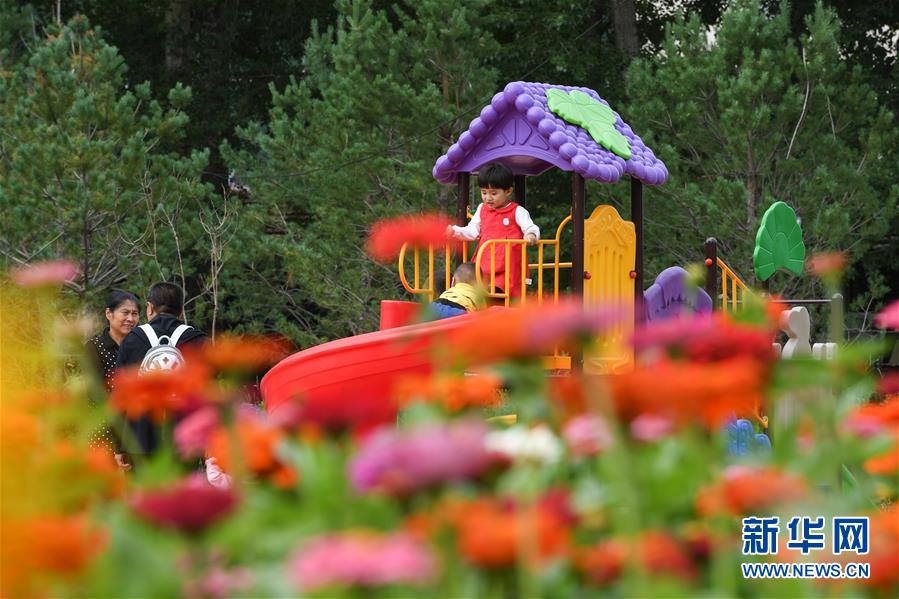 (在習(xí)近平新時(shí)代中國(guó)特色社會(huì)主義思想指引下——新時(shí)代新作為新篇章·總書(shū)記關(guān)心的百姓身邊事·圖文互動(dòng))(8)棚改的溫暖:1億多人“出棚進(jìn)樓”