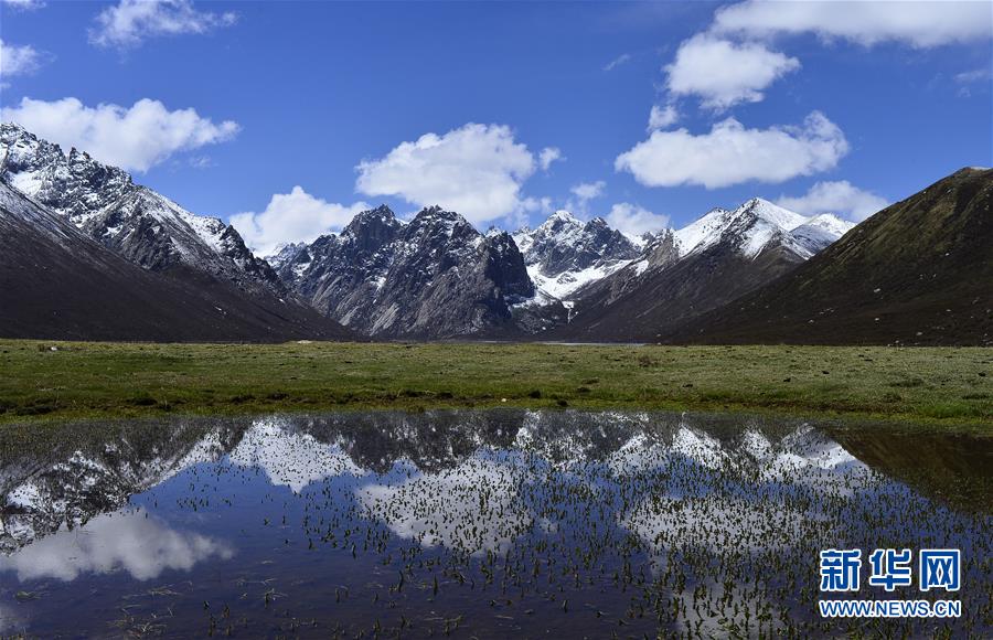 （今日關(guān)注&middot;第一屆國家公園論壇&middot;圖文互動(dòng)）（6）首個(gè)國家公園什么樣？專家?guī)阆?ldquo;睹&rdquo;為快