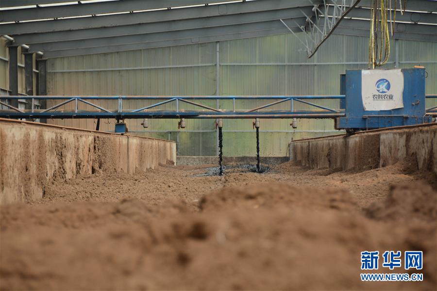 （在習(xí)近平新時(shí)代中國(guó)特色社會(huì)主義思想指引下&mdash;&mdash;新時(shí)代新作為新篇章&middot;總書(shū)記關(guān)心的百姓身邊事&middot;圖文互動(dòng)）（5）大污染變身&ldquo;大寶藏&rdquo;：治理畜禽糞污，他們這樣干！