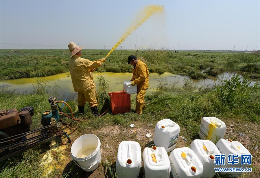 （紅土地&ldquo;往事新說(shuō)&rdquo;&middot;圖文互動(dòng)）（7）昔日送&ldquo;瘟神&rdquo;  今朝健康促小康