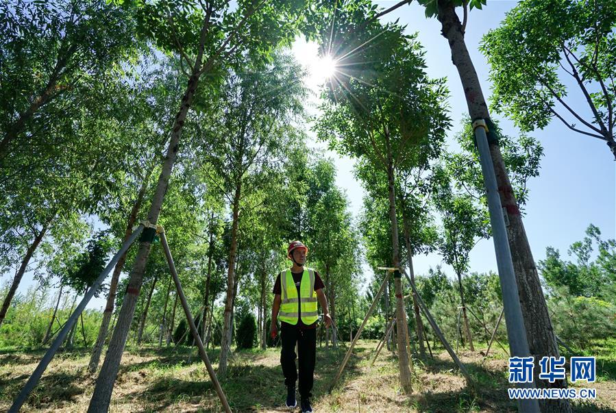 （壯麗70年&middot;奮斗新時代&middot;重溫囑托看變化&middot;圖文互動）（1）雄安新區(qū)：錨定高質量發(fā)展　奮力書寫新時代答卷