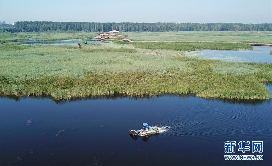 （壯麗70年&middot;奮斗新時代&middot;重溫囑托看變化&middot;圖文互動）（4）雄安新區(qū)：錨定高質量發(fā)展　奮力書寫新時代答卷