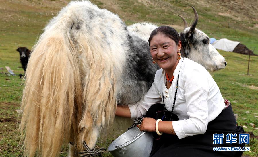 (決戰(zhàn)決勝脫貧攻堅·圖文互動)(9)以保護促脫貧 以脫貧助保護——長江源頭第一縣的生態(tài)發(fā)展選擇