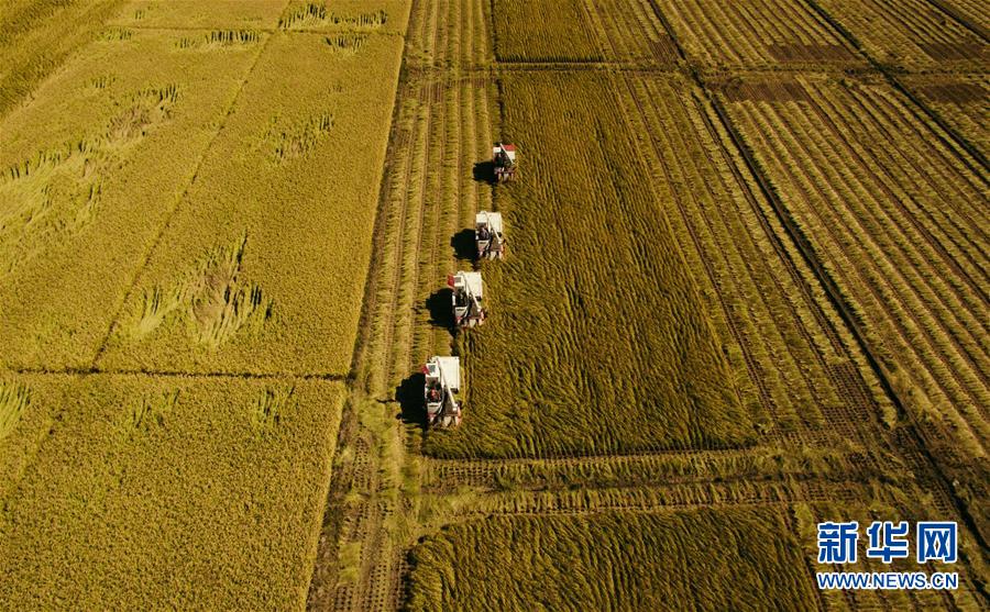 （新華全媒頭條&middot;圖文互動）（5）紅色的傳承，藍圖的起點&mdash;&mdash;新中國孕育與發(fā)展的&ldquo;東北記憶&rdquo;