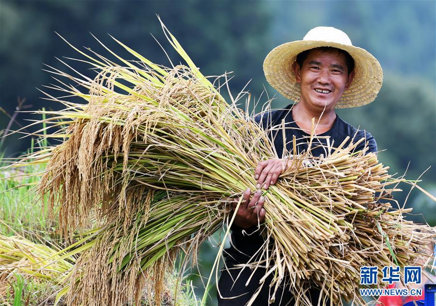 （全面深化改革&middot;圖文互動）（2）&ldquo;減&rdquo;出效益 &ldquo;融&rdquo;出特色 &ldquo;服&rdquo;出動力&mdash;&mdash;貴州推進(jìn)農(nóng)村產(chǎn)業(yè)結(jié)構(gòu)調(diào)整觀察