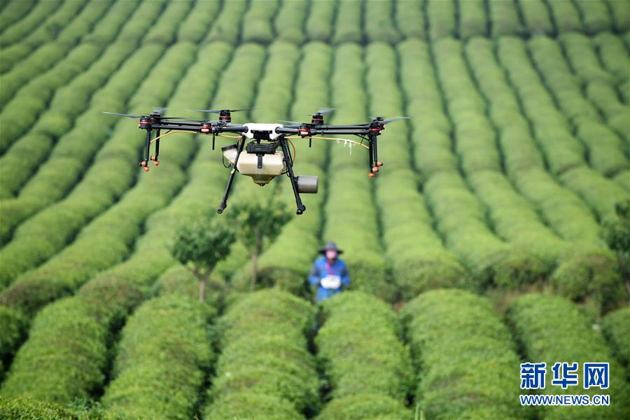 （全面深化改革&middot;圖文互動）（6）&ldquo;減&rdquo;出效益 &ldquo;融&rdquo;出特色 &ldquo;服&rdquo;出動力&mdash;&mdash;貴州推進(jìn)農(nóng)村產(chǎn)業(yè)結(jié)構(gòu)調(diào)整觀察