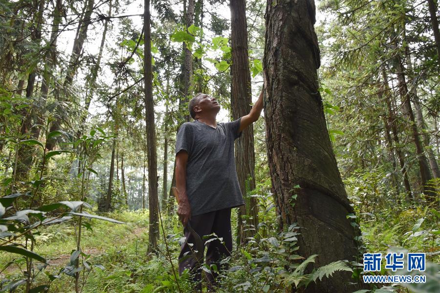 （愛(ài)國(guó)情 奮斗者&middot;圖文互動(dòng)）（3）貴州印江高石坎護(hù)林隊(duì)：半輩子，以林場(chǎng)為家