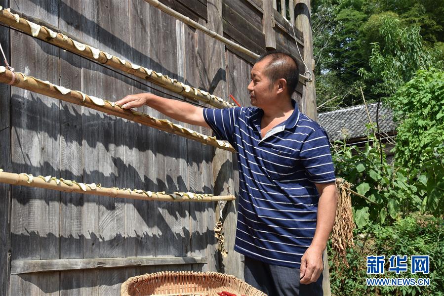 （愛(ài)國(guó)情 奮斗者&middot;圖文互動(dòng)）（2）貴州印江高石坎護(hù)林隊(duì)：半輩子，以林場(chǎng)為家