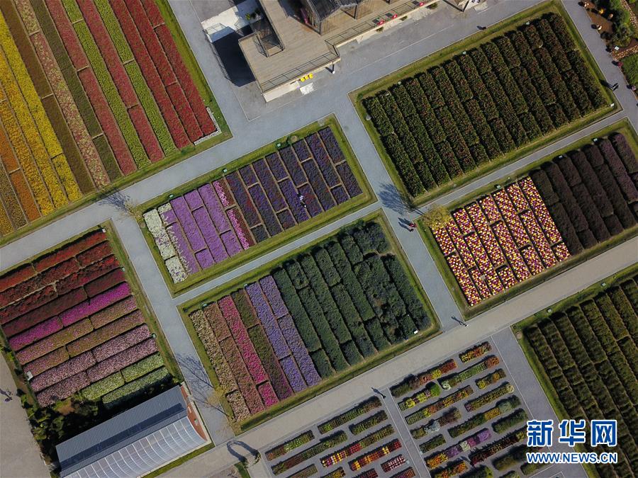 （新華全媒頭條&middot;圖文互動）（11）難忘的&ldquo;世園記憶&rdquo; 共同的綠色追求&mdash;&mdash;寫在北京世園會閉幕之際