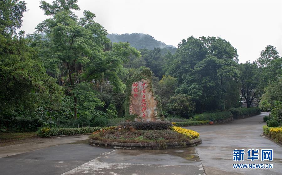 （圖文互動）（1）科學(xué)接續(xù)保護(hù) 守住生態(tài)紅線&mdash;&mdash;探訪&ldquo;北回歸沙漠帶上的綠色明珠&rdquo;