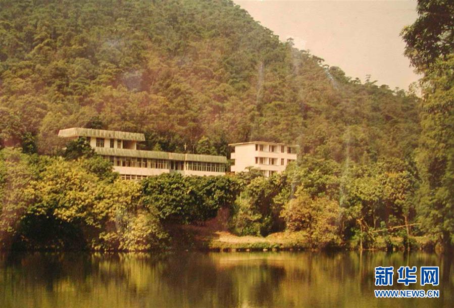 （圖文互動）（4）科學(xué)接續(xù)保護(hù) 守住生態(tài)紅線&mdash;&mdash;探訪&ldquo;北回歸沙漠帶上的綠色明珠&rdquo;