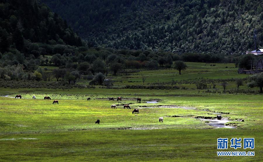 (新華全媒頭條·決戰(zhàn)決勝脫貧攻堅·圖文互動)(7)為了人與自然和諧共生——云南“三江并流”地區(qū)決戰(zhàn)精準(zhǔn)脫貧的“生態(tài)畫卷”