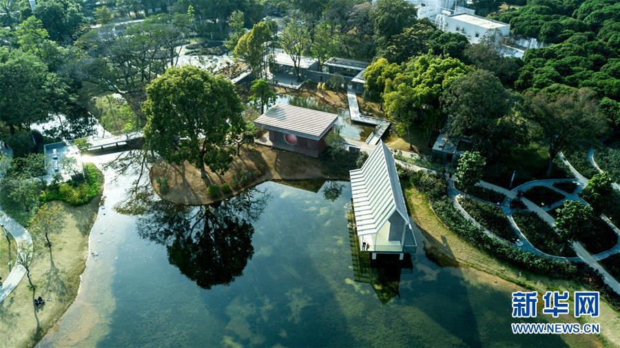 (新華全媒頭條·圖文互動(dòng))(5)敢為人先開新路——深圳全面開啟“先行示范區(qū)”建設(shè)進(jìn)程