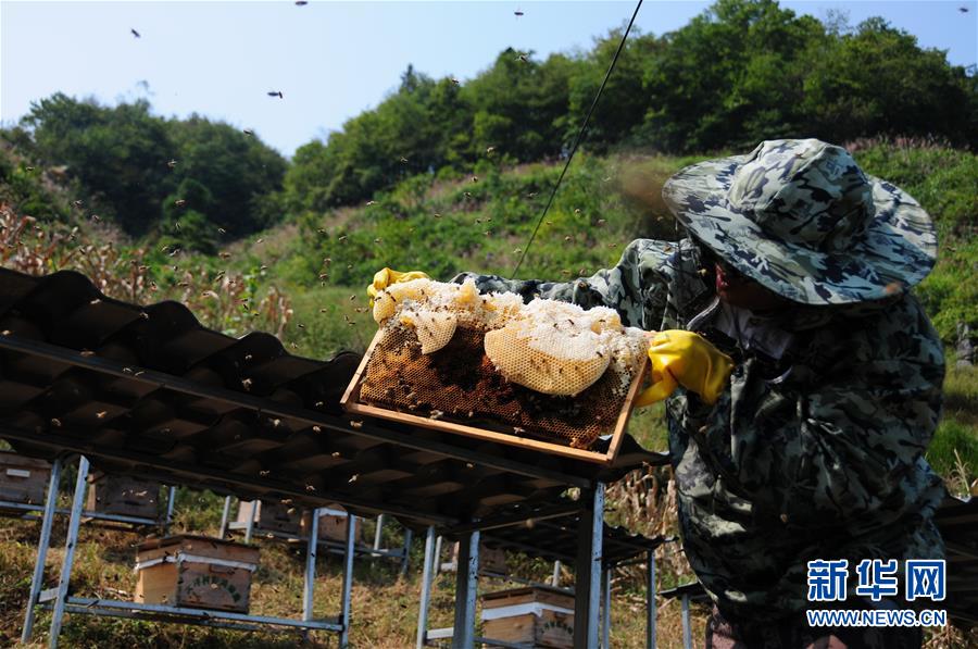 (新華全媒頭條·圖文互動(dòng))(4)永不歸來(lái)的“戰(zhàn)士”——追記倒在脫貧攻堅(jiān)一線的貴州沿河縣駐村第一書記文偉紅