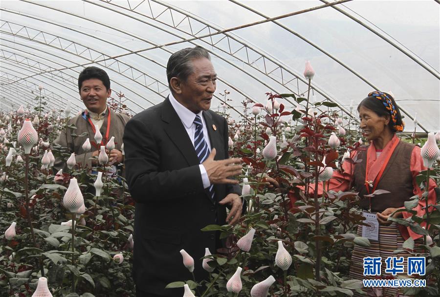 (壯麗70年·奮斗新時(shí)代——共和國榮光)(3)民族團(tuán)結(jié)的楷模——熱地