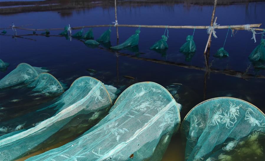 （在習(xí)近平新時(shí)代中國(guó)特色社會(huì)主義思想指引下&mdash;&mdash;新時(shí)代新作為新篇章&middot;總書記關(guān)心的百姓身邊事&middot;圖文互動(dòng)）（2）水潤(rùn)民心&mdash;&mdash;全國(guó)農(nóng)村飲水安全攻堅(jiān)成效觀察