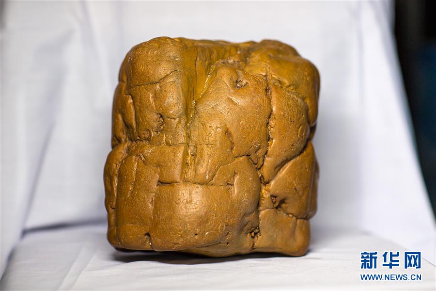 (圖文互動)(1)黑龍江海倫發(fā)現(xiàn)罕見古生物群