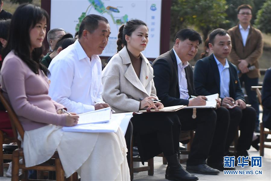 （四中全會精神在基層&middot;圖文互動）（4）學(xué)習(xí)貫徹黨的十九屆四中全會精神中央宣講團在湖南宣講