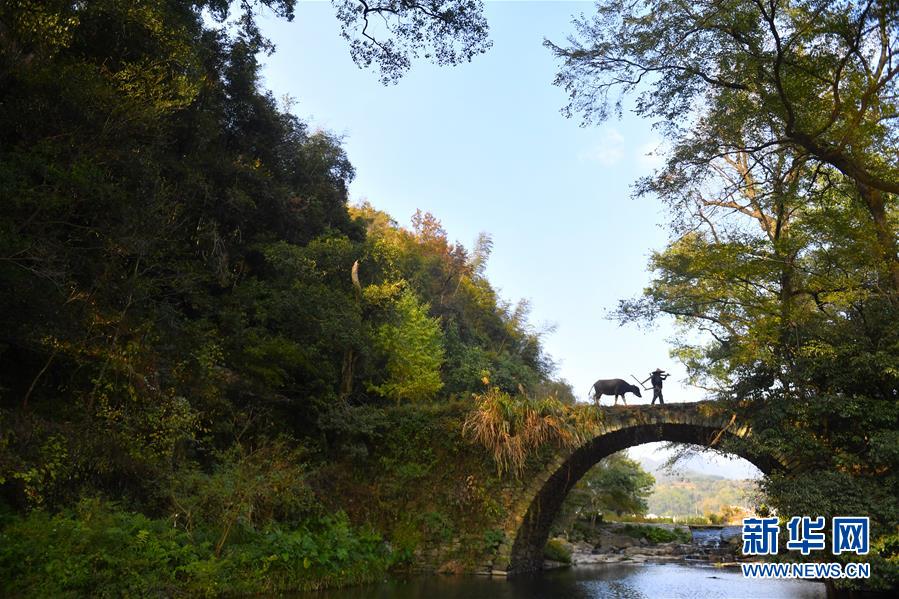 （圖文互動）（3）鄉(xiāng)村攝影師、鄉(xiāng)村&ldquo;模特&rdquo;、民宿店主&mdash;&mdash;鄉(xiāng)村旅游推動婺源農(nóng)民生活方式發(fā)生新變化