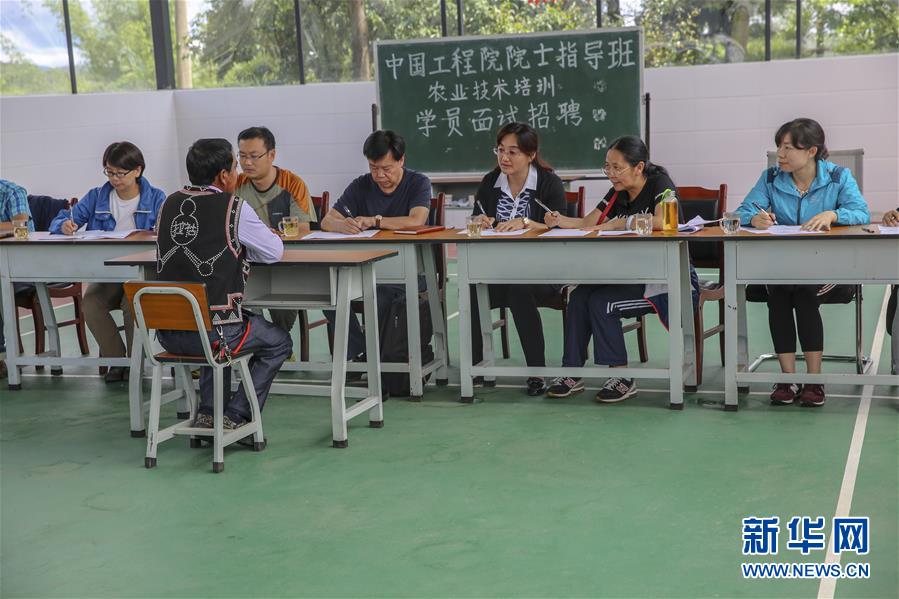 (新華全媒頭條·時(shí)代先鋒·圖文互動(dòng))(4)“要把論文寫(xiě)在大地上”——記“農(nóng)民院士”朱有勇