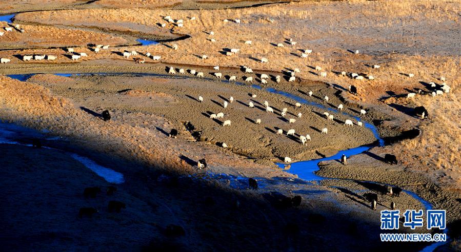 （新華全媒頭條&middot;圖文互動(dòng)）（15）格?；ㄩ_(kāi)滿天路&mdash;&mdash;寫(xiě)在川藏公路通車(chē)65周年之際