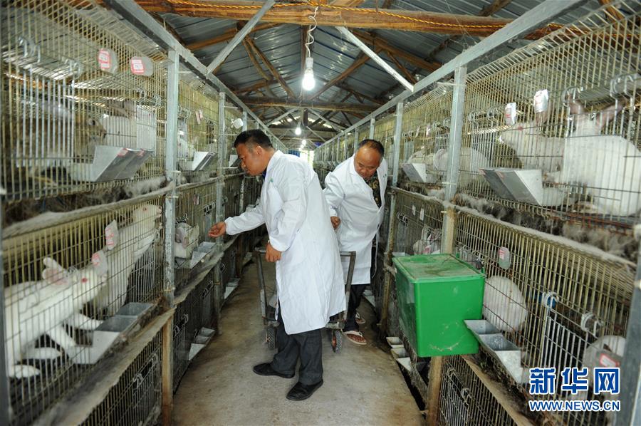 （新華全媒頭條&middot;圖文互動）（4）干部去哪兒了？&mdash;&mdash;貴州干部大規(guī)模下沉脫貧攻堅一線紀實