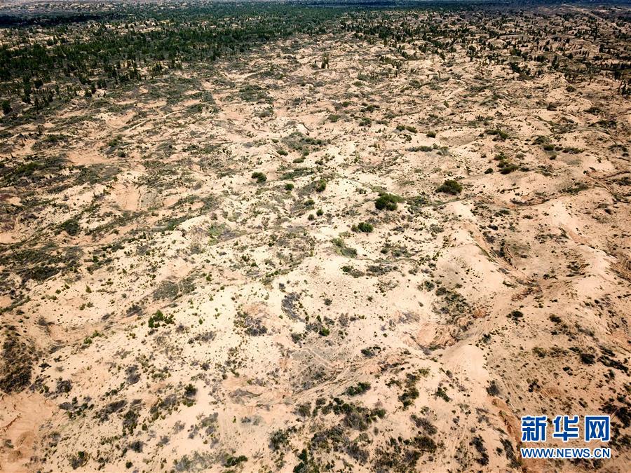 （圖文互動）（2）陜西榆林毀林建光伏電站追蹤：還有哪些疑團(tuán)有待破解？ 