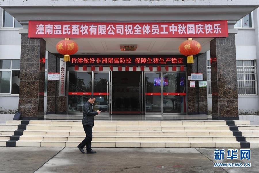 （在習近平新時代中國特色社會主義思想指引下&mdash;&mdash;新時代新作為新篇章&middot;總書記關切高質量發(fā)展&middot;圖文互動）（1）穩(wěn)住&ldquo;一頭豬&rdquo;、供好&ldquo;一袋米&rdquo;、配好&ldquo;一籃菜