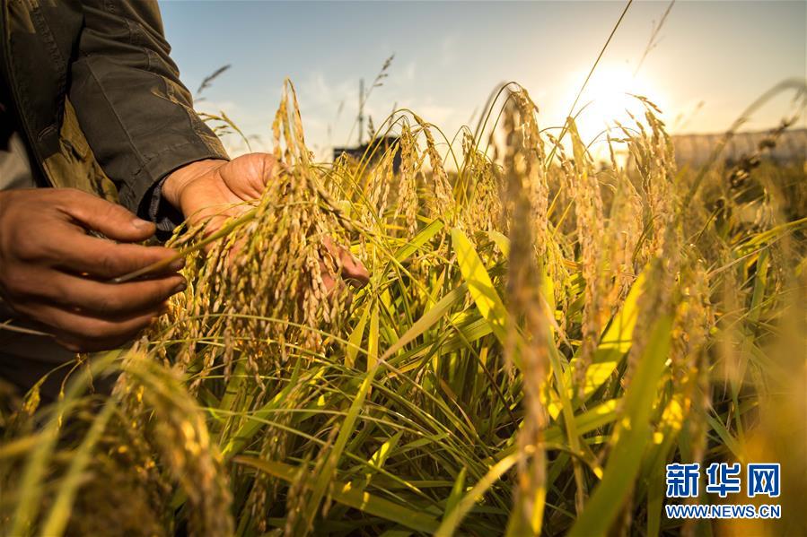 （新華全媒頭條&middot;圖文互動(dòng)）（5）上下同心再出發(fā)&mdash;&mdash;習(xí)近平總書(shū)記同出席2019年全國(guó)兩會(huì)人大代表、政協(xié)委員共商國(guó)是紀(jì)實(shí)